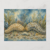 Carte postale aquarelle Concombre de mer Océan (Devant)