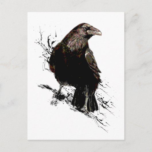 Carte Postale Aquarelle Corbeau Oiseau Art animal (Devant)