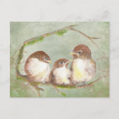 Carte Postale Aquarelle Cuddin Bruant Oiseau Bruant Nature (Devant)