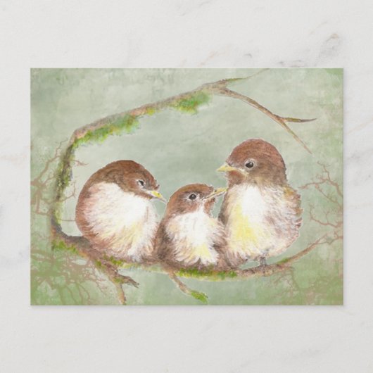 Carte Postale Aquarelle Cuddin Bruant Oiseau Bruant Nature (Devant)