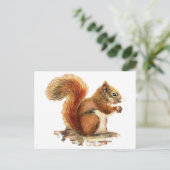Carte Postale Aquarelle Cute Écureuil rouge Nature animale (Debout devant)