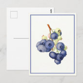 Carte Postale Aquarelle de bleuet vintage Botanique (Devant / Derrière)