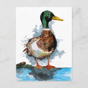 Carte Postale Aquarelle de canard de Mallard