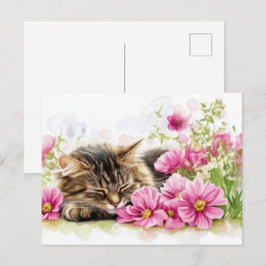 Carte postale aquarelle de chat (Devant / Derrière)