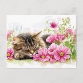 Carte postale aquarelle de chat (Devant)