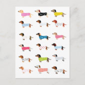 Carte Postale Aquarelle de chien Dachsund (Devant)