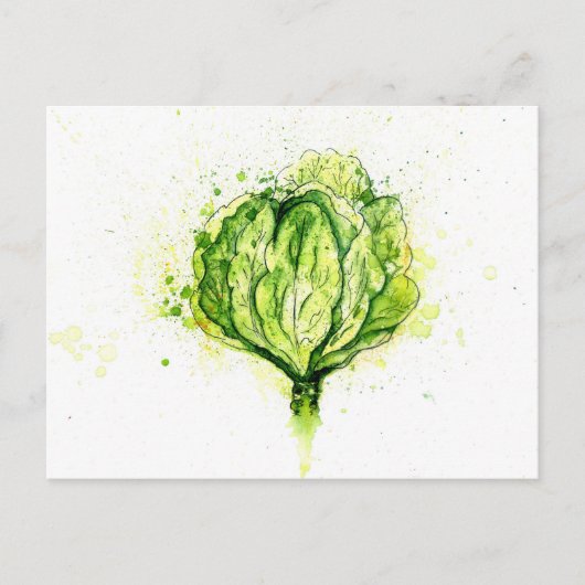 Carte Postale Aquarelle de chou vert (Devant)