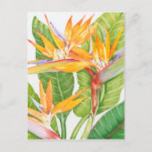 Carte Postale Aquarelle de fleurs exotiques (Devant)