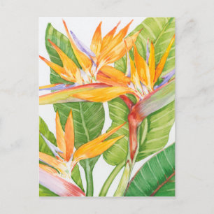 Carte Postale Aquarelle de fleurs exotiques