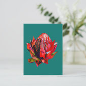 Carte Postale Aquarelle de fleurs indigènes de Waratah (Debout devant)
