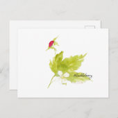 carte postale aquarelle de framboise sauvage (Devant / Derrière)