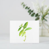 Carte Postale Aquarelle de menthe de menthe (Debout devant)