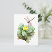 Carte Postale aquarelle de nénuphar (Debout devant)