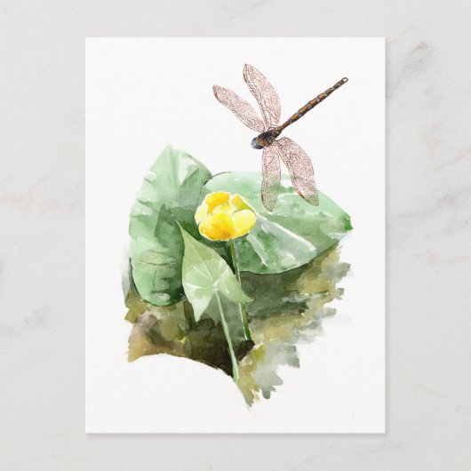 Carte Postale aquarelle de nénuphar (Devant)