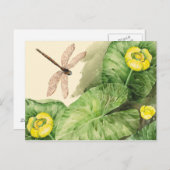 Carte Postale aquarelle de nénuphar (Devant / Derrière)