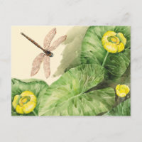 aquarelle de nénuphar