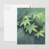 Carte Postale Aquarelle d'érable japonaise (Devant / Derrière)