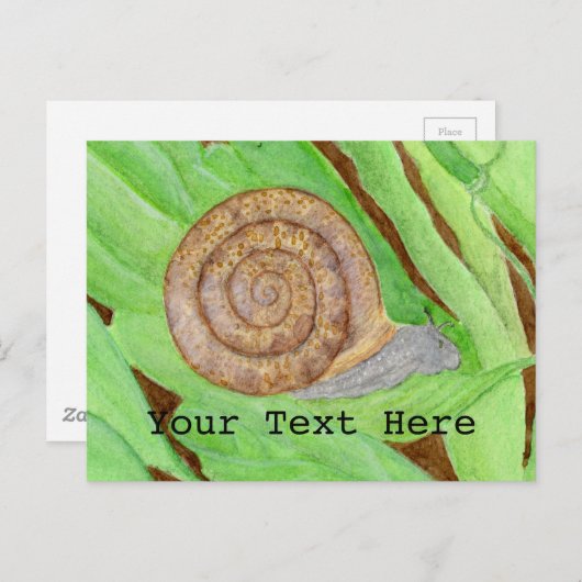 Carte Postale Aquarelle des escargots (Devant / Derrière)