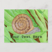 Carte Postale Aquarelle des escargots (Devant)