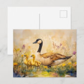 Carte Postale Aquarelle d'oie et d'oies printemps (Devant / Derrière)