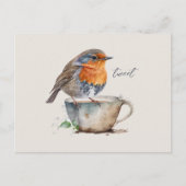Carte Postale Aquarelle d'oiseau orange mignonne Robin (Devant)