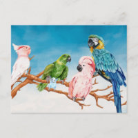 Aquarelle d'oiseaux Perroquet Ara Cacatoès Perruch