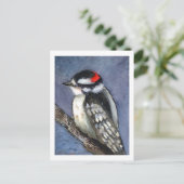 Carte Postale Aquarelle Downy Woodpecker (Debout devant)