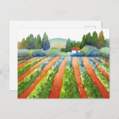 Carte Postale Aquarelle du vignoble Rouge Vert Bleu (Devant / Derrière)