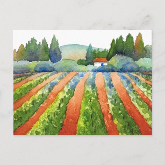 Carte Postale Aquarelle du vignoble Rouge Vert Bleu (Devant)