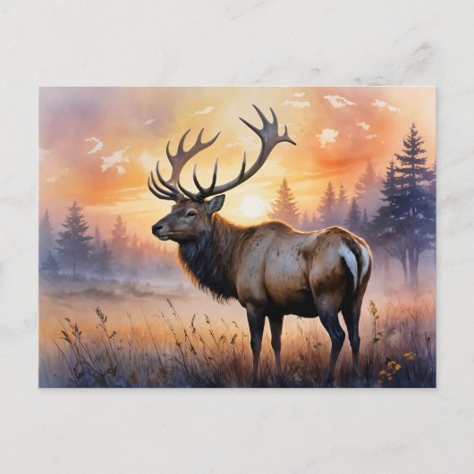 Carte Postale Aquarelle Elk au lever du soleil (Devant)