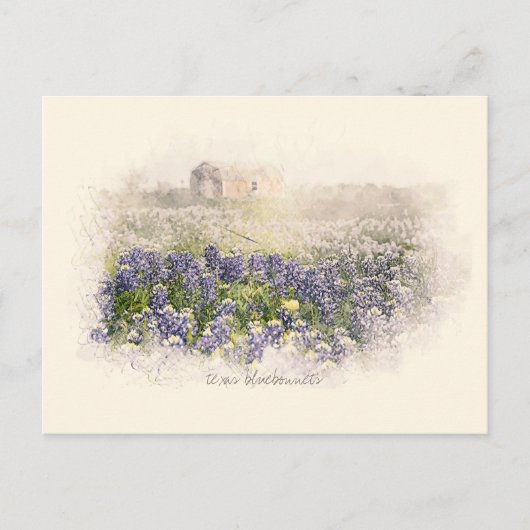 Carte Postale Aquarelle esquissée du champ Bluebonnet (Devant)