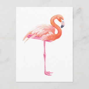 Carte Postale aquarelle Flamant rose