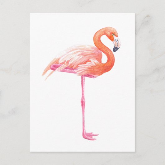 Carte Postale aquarelle Flamant rose (Devant)