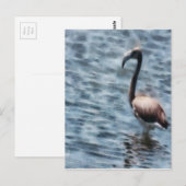 Carte Postale Aquarelle flambant Flamant rose (Devant / Derrière)