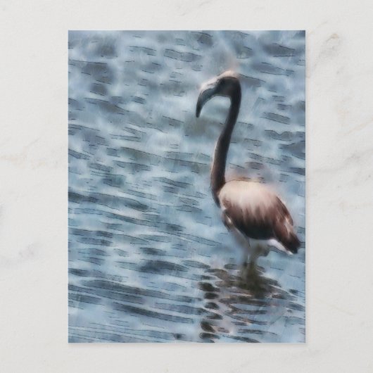 Carte Postale Aquarelle flambant Flamant rose (Devant)