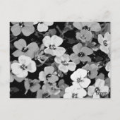 Carte Postale Aquarelle Fleur rouge 2 (Dos)