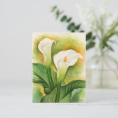 Carte Postale Aquarelle Fleurie de Cala Lily Blanc (Debout devant)
