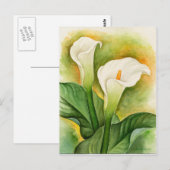 Carte Postale Aquarelle Fleurie de Cala Lily Blanc (Devant / Derrière)
