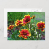 Carte postale Aquarelle Fleurs de couverture (Devant / Derrière)