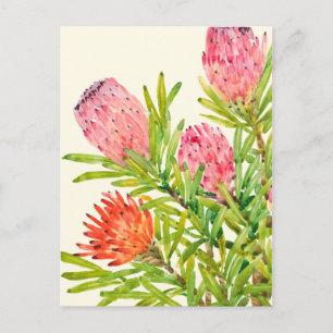 Carte Postale Aquarelle Fleurs tropicales