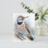 Carte Postale Aquarelle Flickr Nord (Debout devant)