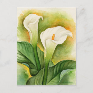 Carte Postale Aquarelle florale blanche Cala Lily