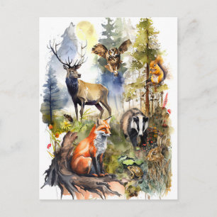 Carte Postale Aquarelle Forêt Animaux Cerfs, Renard, Badger et