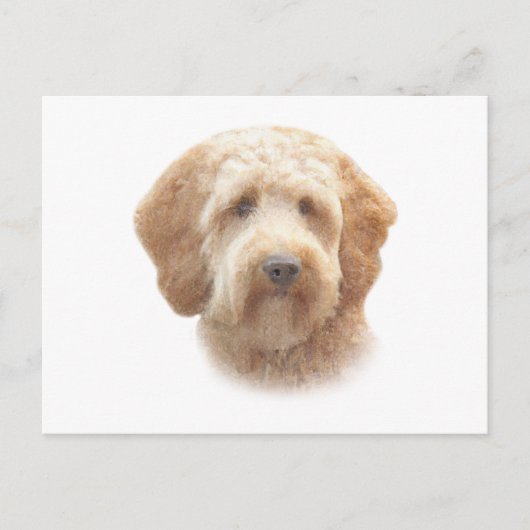 Carte Postale Aquarelle Goldendoodle (Devant)