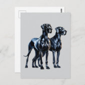 Carte Postale Aquarelle Great Danes (Devant / Derrière)