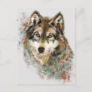 Carte Postale Aquarelle Gris Loup Faune Animal Nature Art