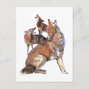 Carte Postale Aquarelle Howling Coyotes Animal Nature Art
