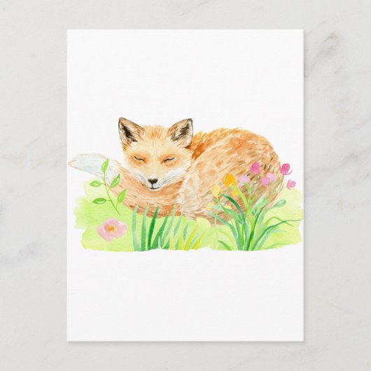 Carte Postale Aquarelle illustration renard dormant (Devant)