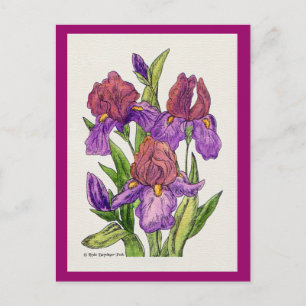 Carte Postale Aquarelle Irises