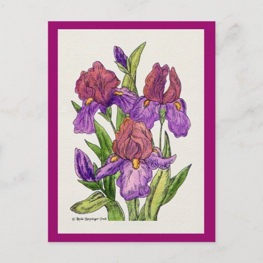 Carte Postale Aquarelle Irises (Devant)